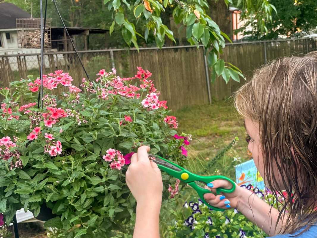 How to Create a Family-Friendly Backyard